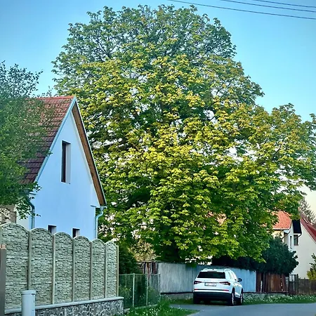 Dvur U Koptisu - Venkovsky Dum Se Zahradou V Jiznich Cechach *